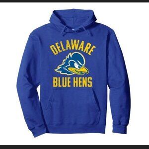 University of Delaware - Blue Sweatshirt, MENS SZ L, Champion, LIKE NEW!